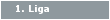 1. Liga