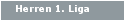 Herren 1. Liga